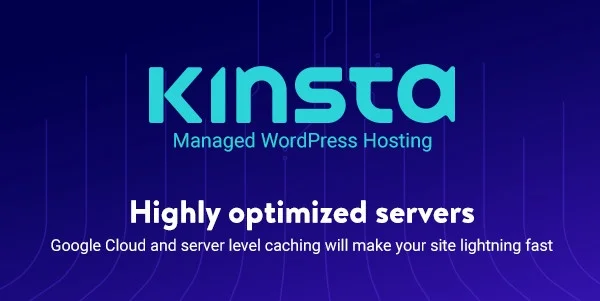 Kinsta WordPress hosting